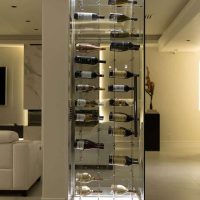 The glass door in this Orange County modern home wine cellar allows customers to browse the wine collection freely. Modern and Compact Glass Enclosed Home Wine Cellar
