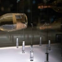 These modern LED light panels make the wine room a perfect center piece in the living room, Home Wine Cellar Modern LED Panels and Cable Racking Support